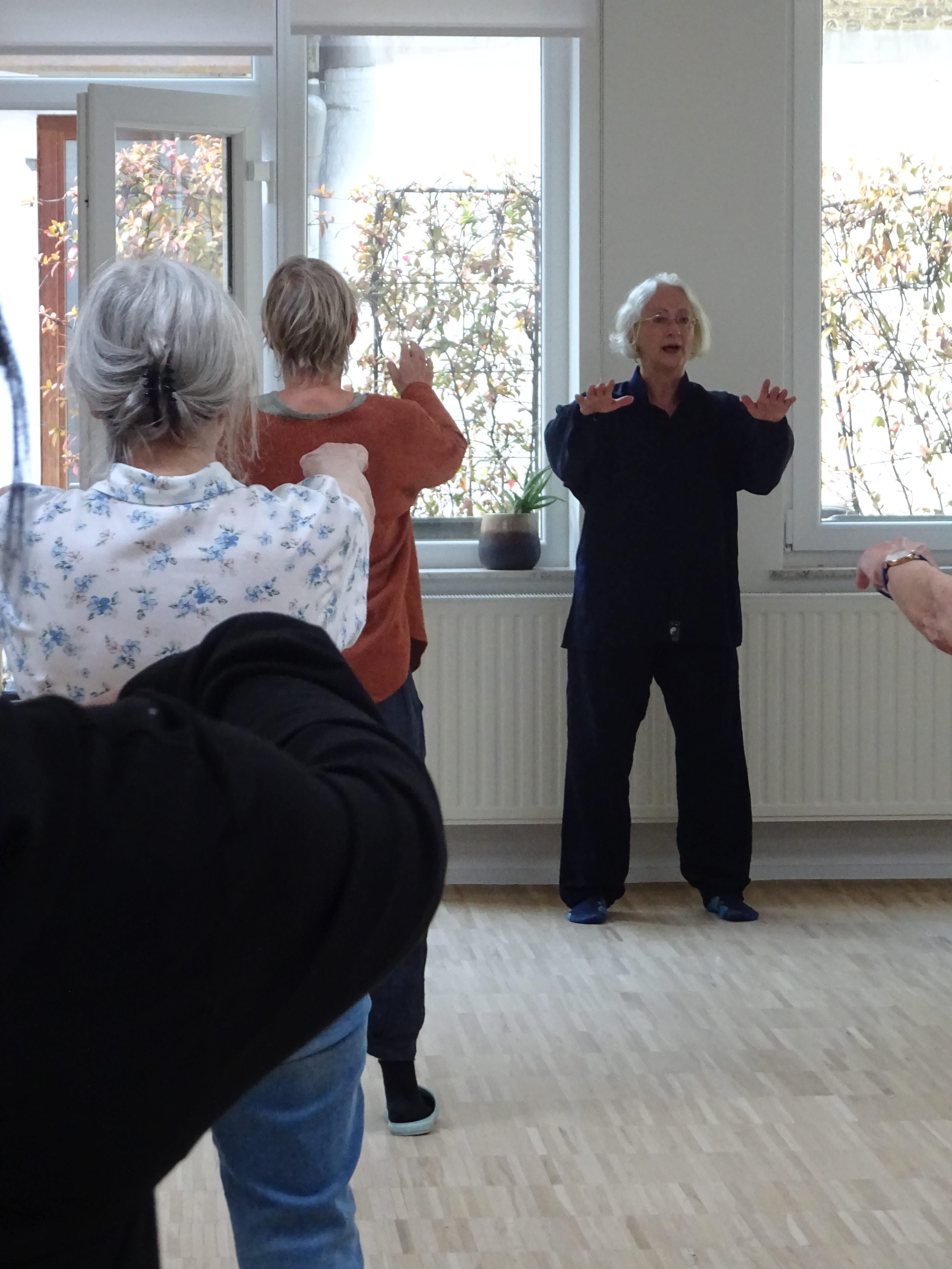 Qi gong SEP (3)